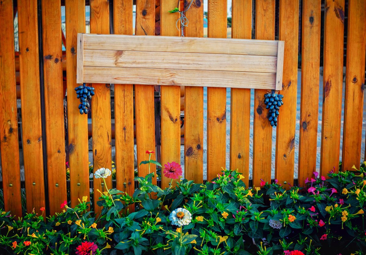 Empty signboard made of planks, decorated with artificial bunches of grapes, hanging on a wooden fence in a garden with growing flowers. Copy space.